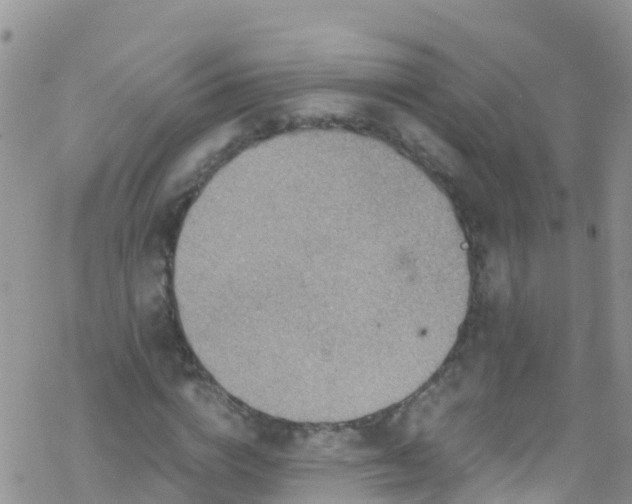 X0000069410824200605192302