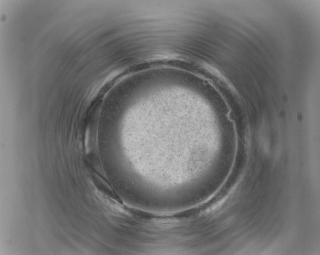 X0000069410825200605192302