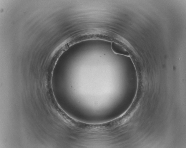 X0000069410826200605192302