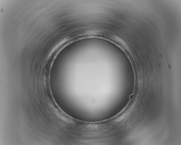 X0000069410827200605192302