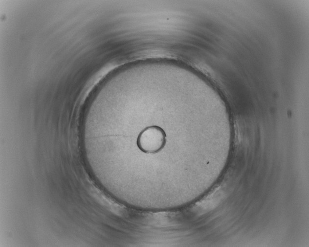 X0000069410828200605192302