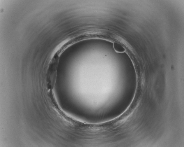 X0000069410829200605192302