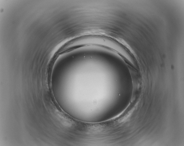 X0000069410830200605192302