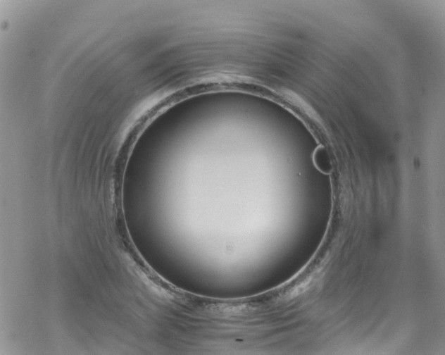 X0000069410831200605192302