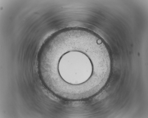 X0000069410832200605192302