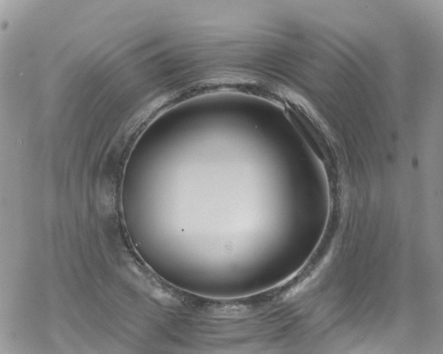 X0000069410833200605192302