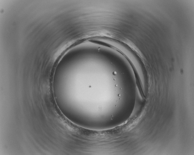 X0000069410834200605192302