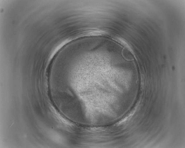 X0000069410835200605192302