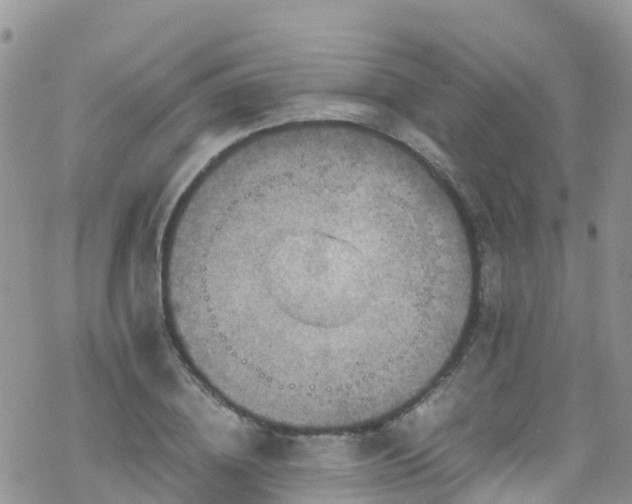 X0000069410836200605192302