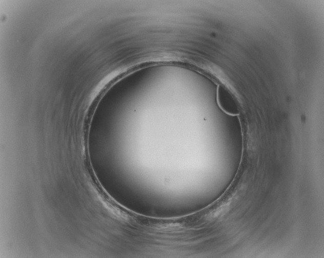 X0000069410837200605192302