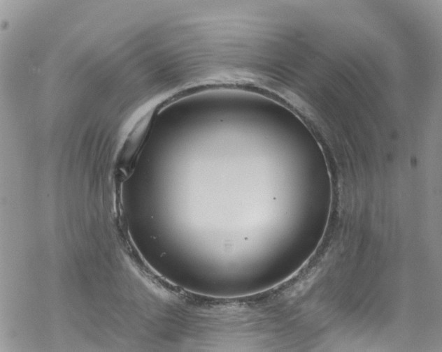 X0000069410838200605192302