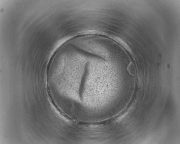 X0000069410839200605192302