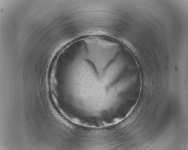 X0000069410840200605192302