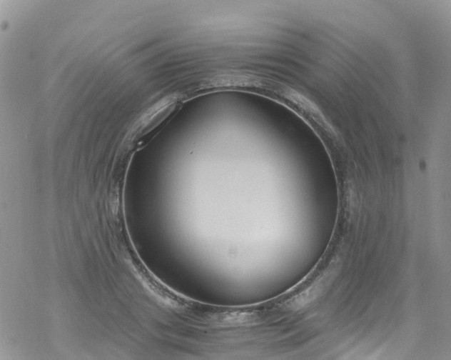 X0000069410841200605192302