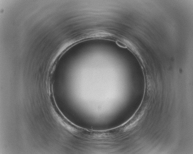 X0000069410843200605192302