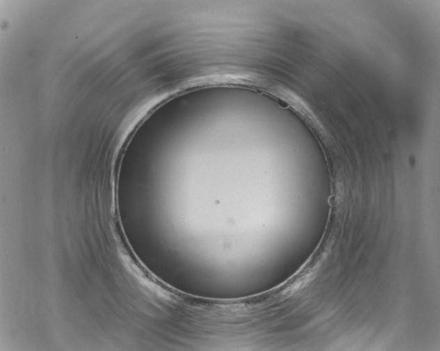 X0000069410844200605192302