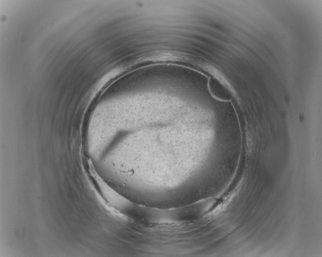 X0000069410845200605192302