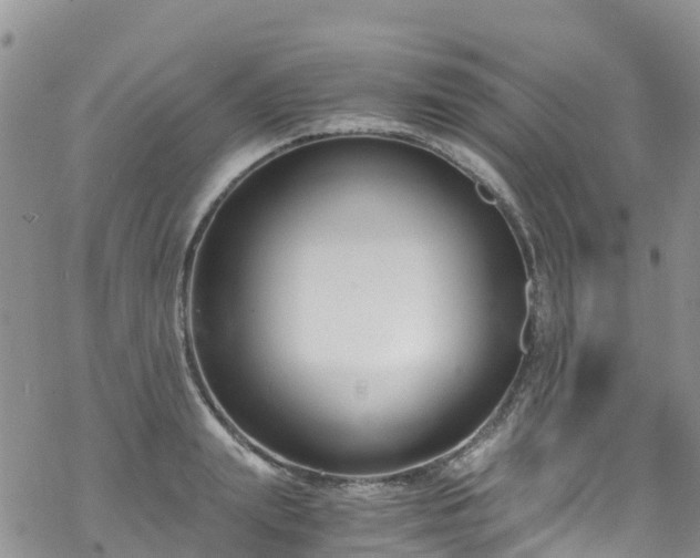 X0000069410847200605192302