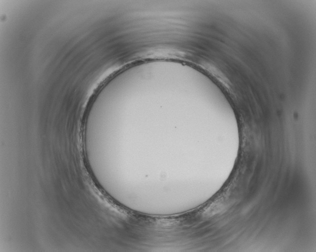 X0000069410848200605192302