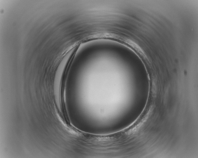 X0000069410849200605192302