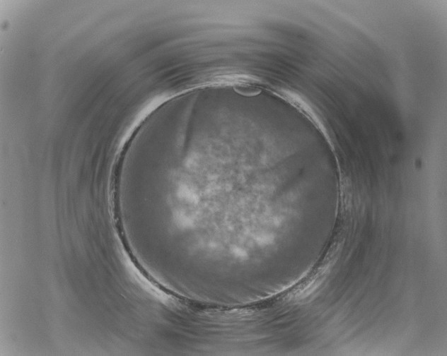 X0000069410851200605192302