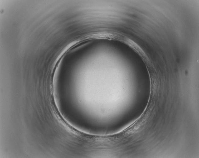 X0000069410852200605192302