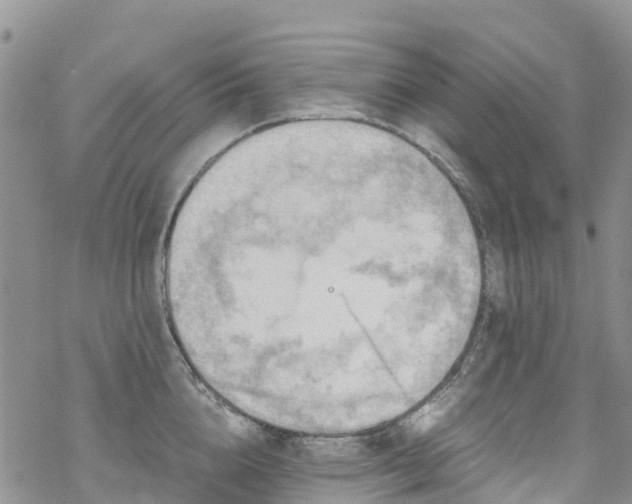 X0000069410856200605192302