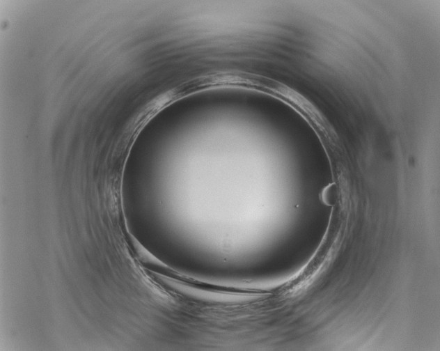 X0000069410857200605192302