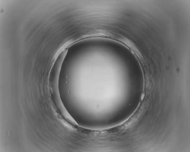 X0000069410858200605192302