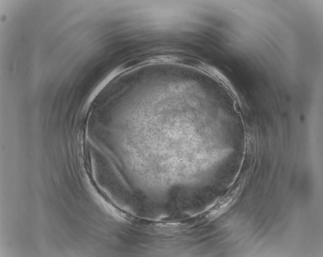 X0000069410859200605192302