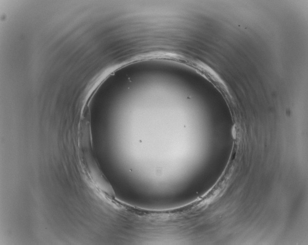 X0000069410860200605192302