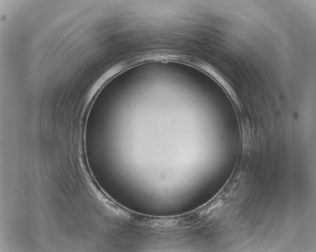 X0000069410861200605192302