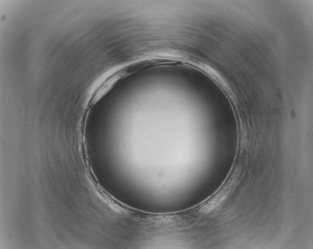 X0000069410862200605192302