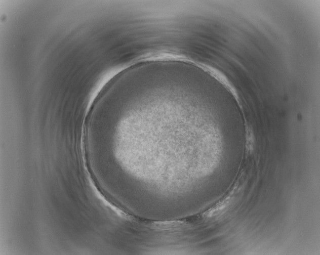 X0000069410863200605192302