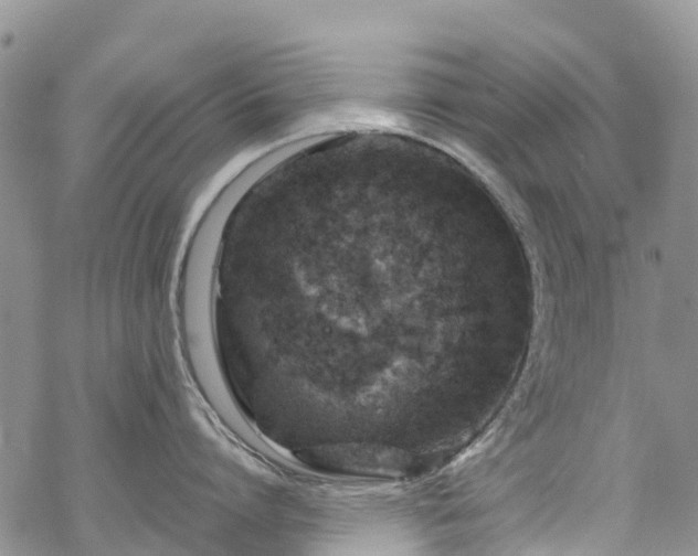 X0000069410864200605192302