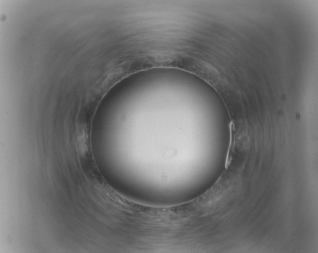 X0000069410866200605192301