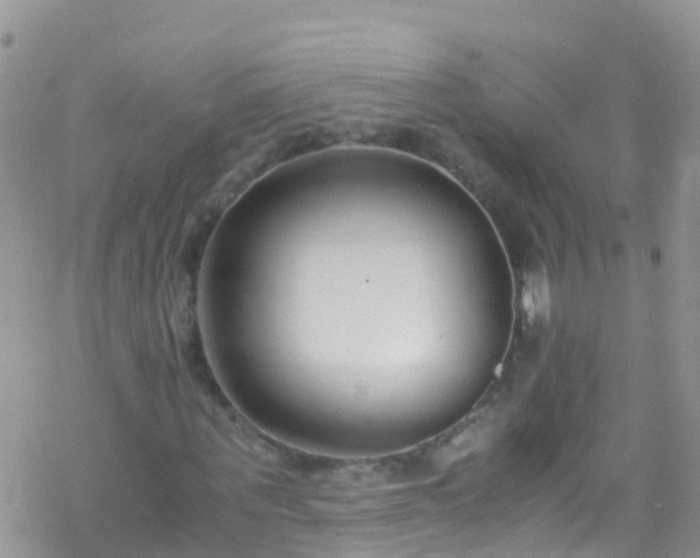 X0000069410867200605192301