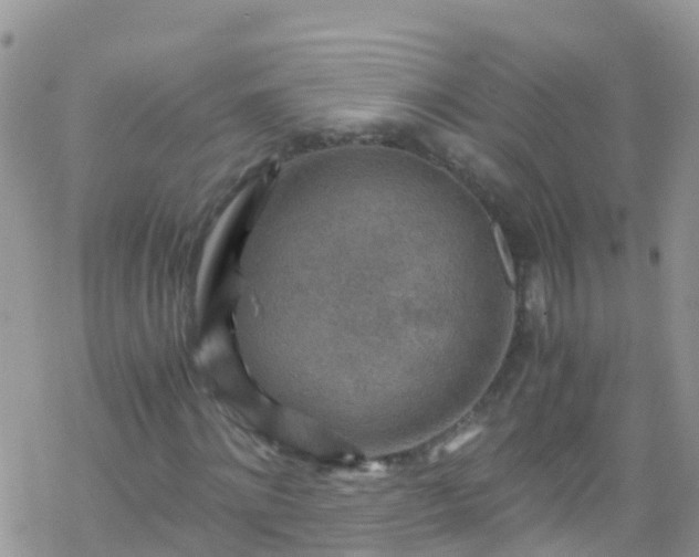 X0000069410868200605192301