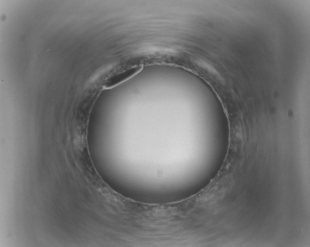 X0000069410869200605192301