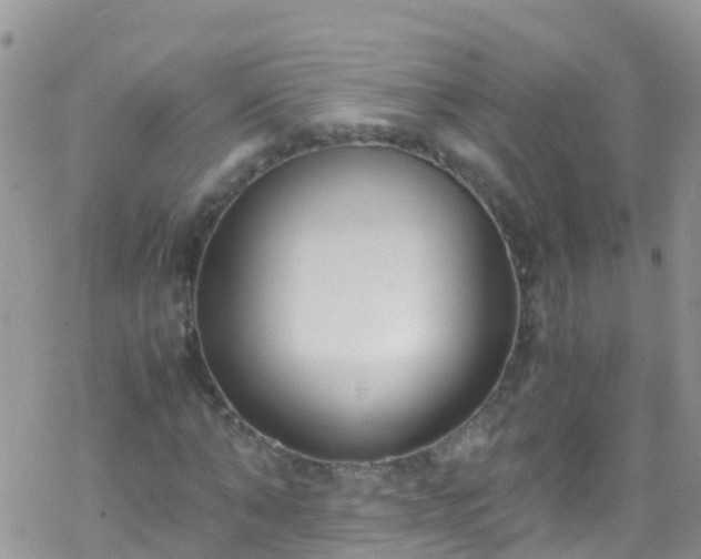 X0000069410870200605192301