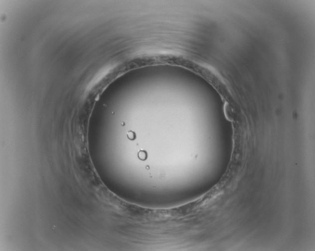 X0000069410871200605192301