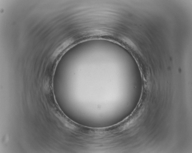 X0000069410873200605192301