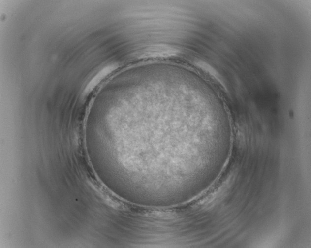 X0000069410874200605192301