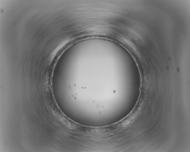 X0000069410875200605192301