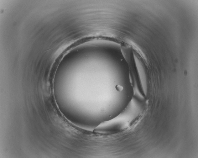 X0000069410876200605192301