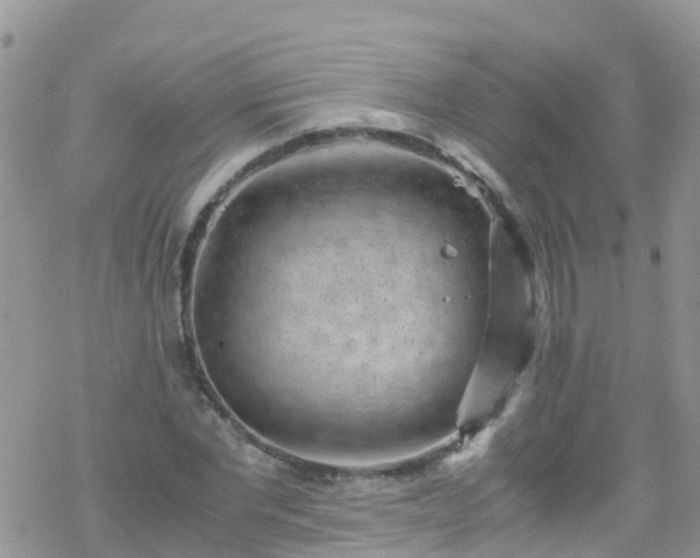 X0000069410877200605192301