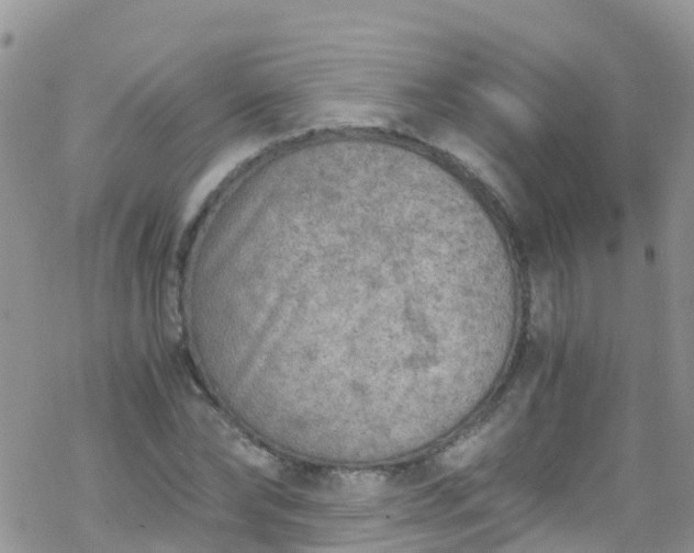 X0000069410878200605192301