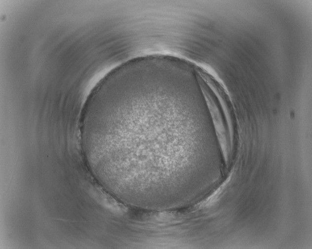 X0000069410879200605192301