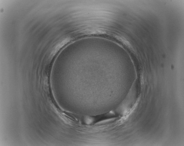 X0000069410881200605192301