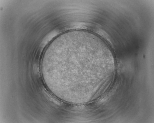 X0000069410882200605192301